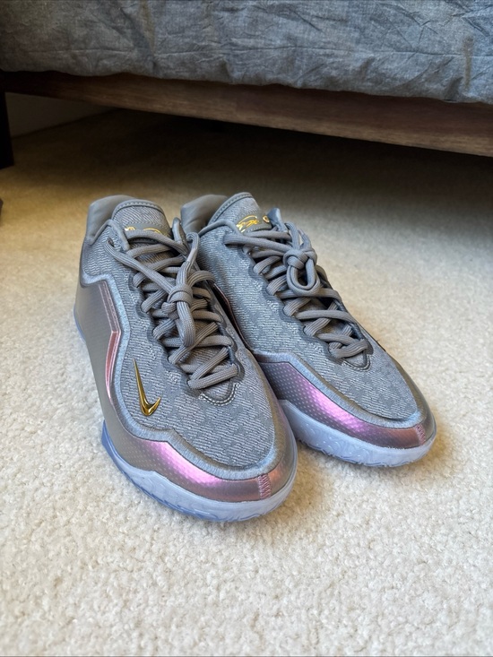 Nike Other - Nike LeBron 23 "Shut Up and Dribble" Gray Multicolor Men's Size 10.5 IH1530-002